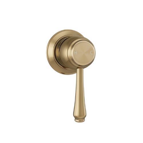 Brushed brass shower fixture with rounded handle