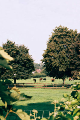 British farm