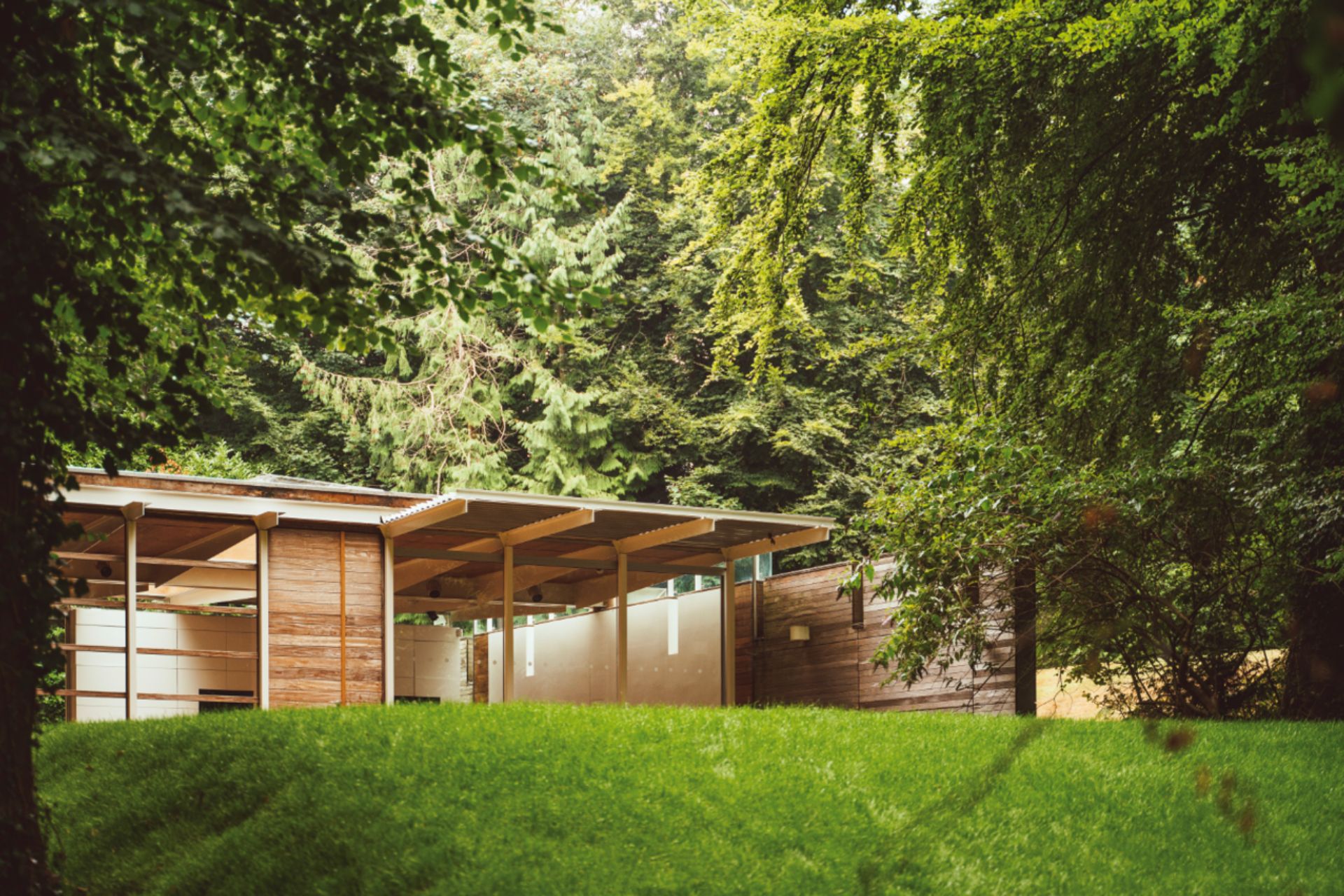 Oak and glass pavilion in built into woodland