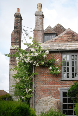 Flowers growing on The Priory hotel
