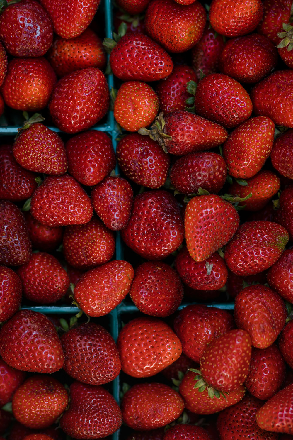 Why Are UK Strawberries So Big Right Now?