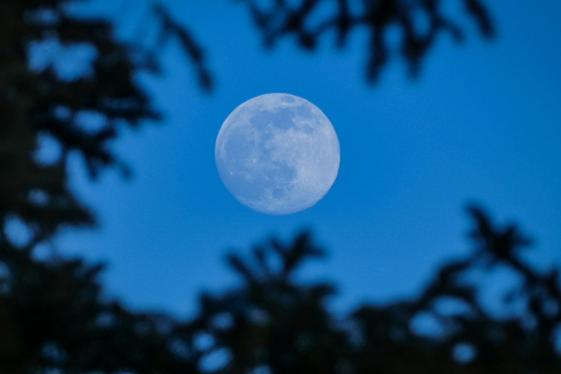 A hazy moon in a blue sky