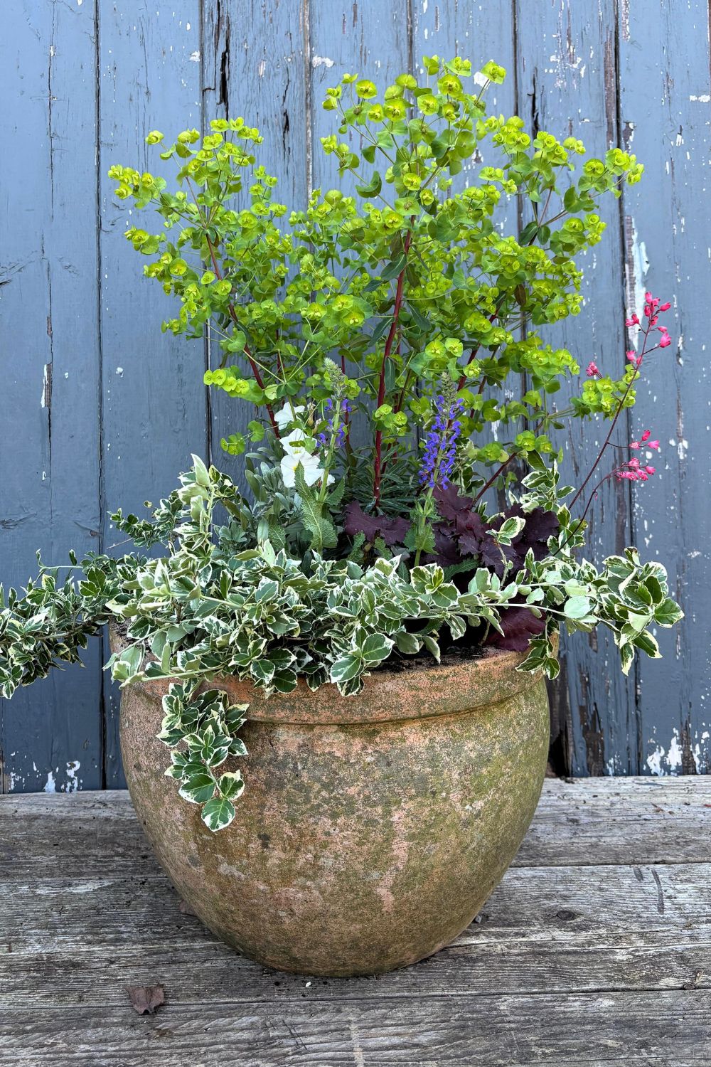 Stone plant pot against a pale blue fence