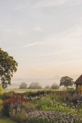 Flower garden at dusk with views of meadows in the distance
