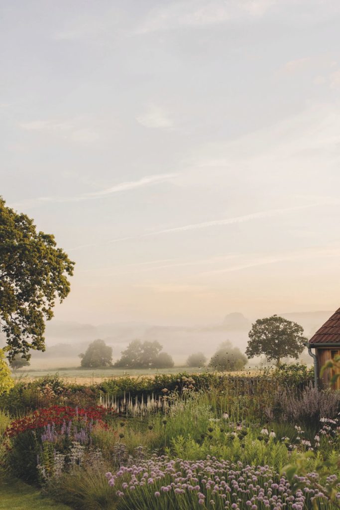 Flower garden at dusk with views of meadows in the distance