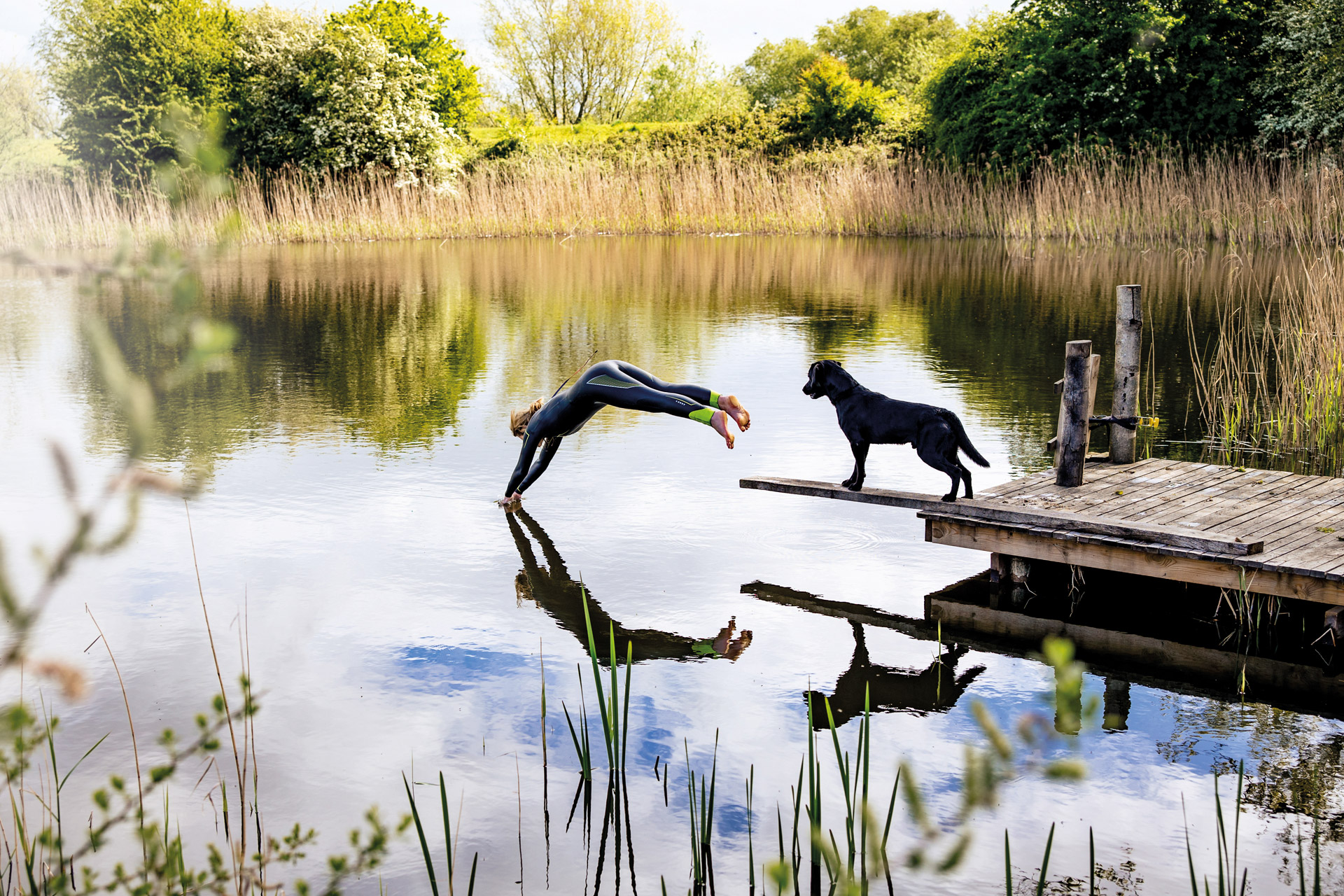Two people diving into a lake