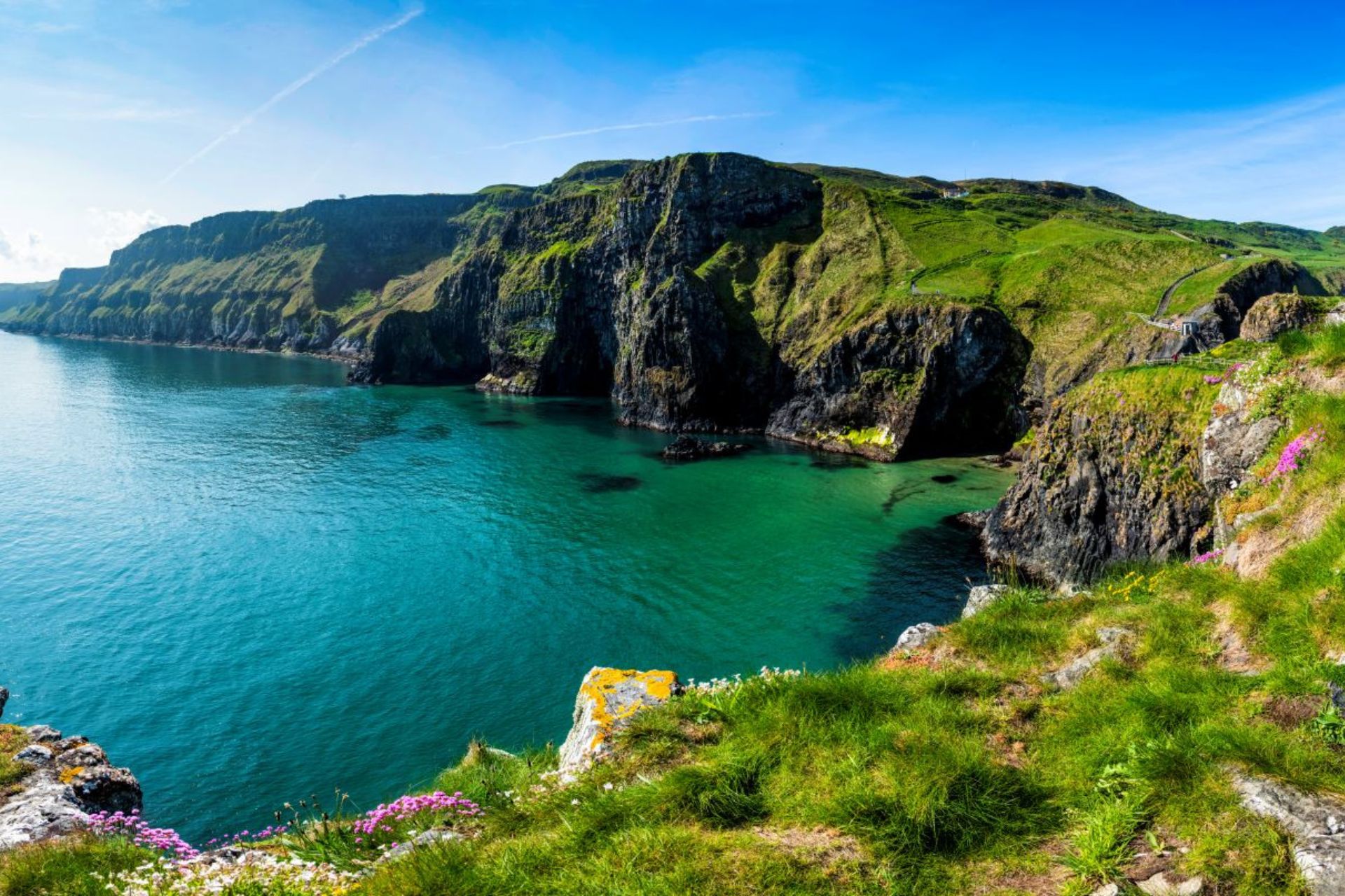 Carrick a Rede Island & East Cliffs