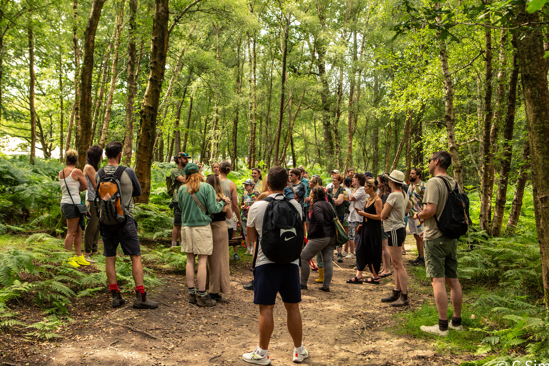 People doing a forest walk at Good Vibrations Society