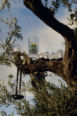 Glass jars in tree