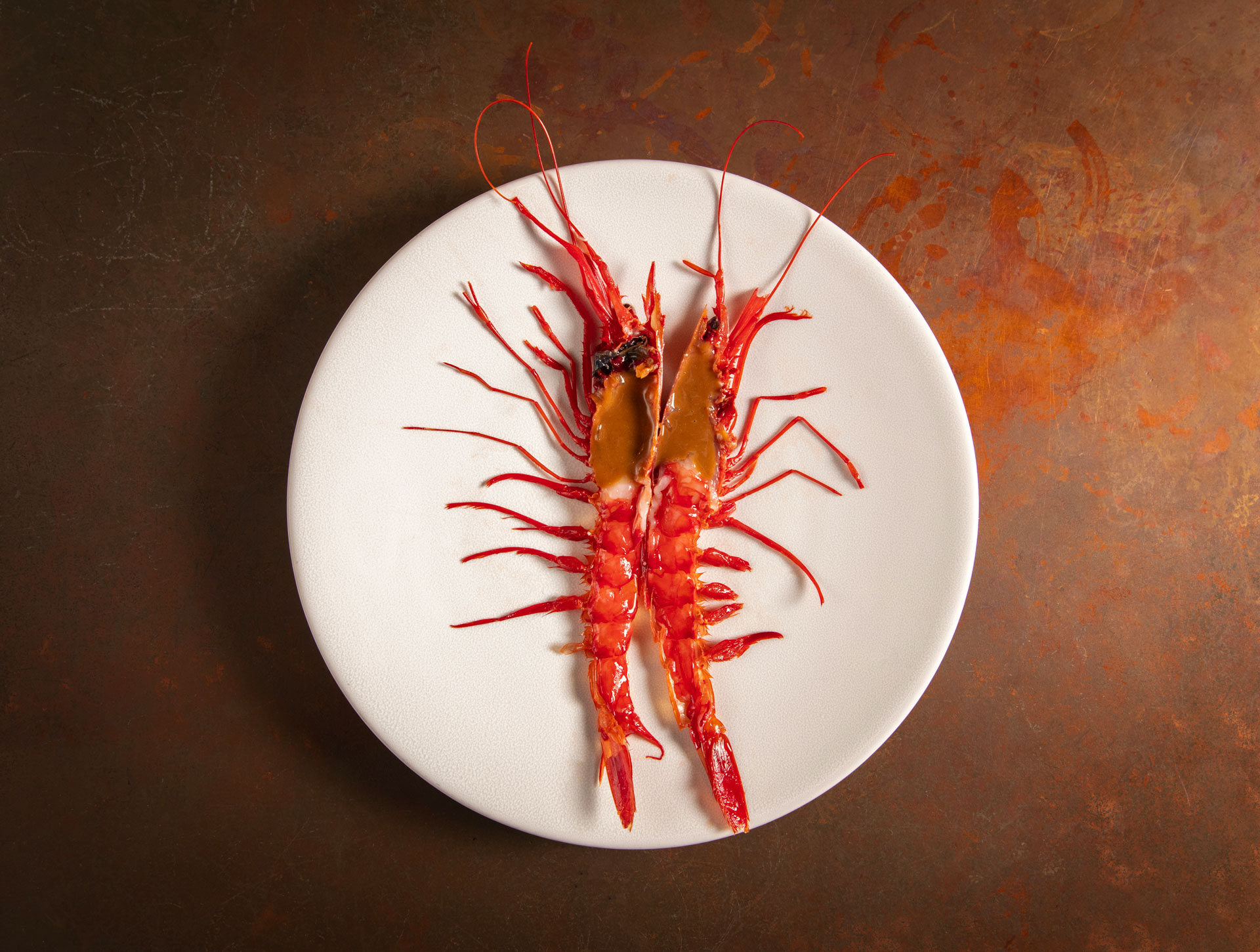Two prawns on their side