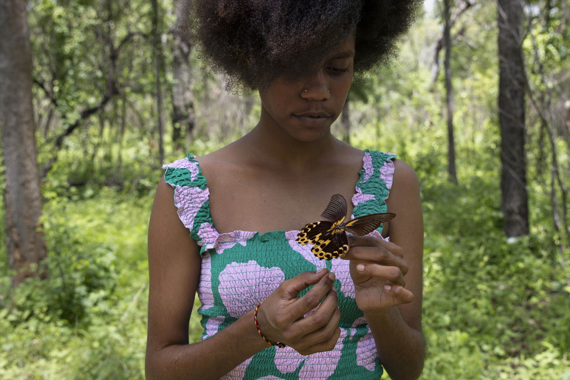 Naomi Hobson, Delicate, 2024