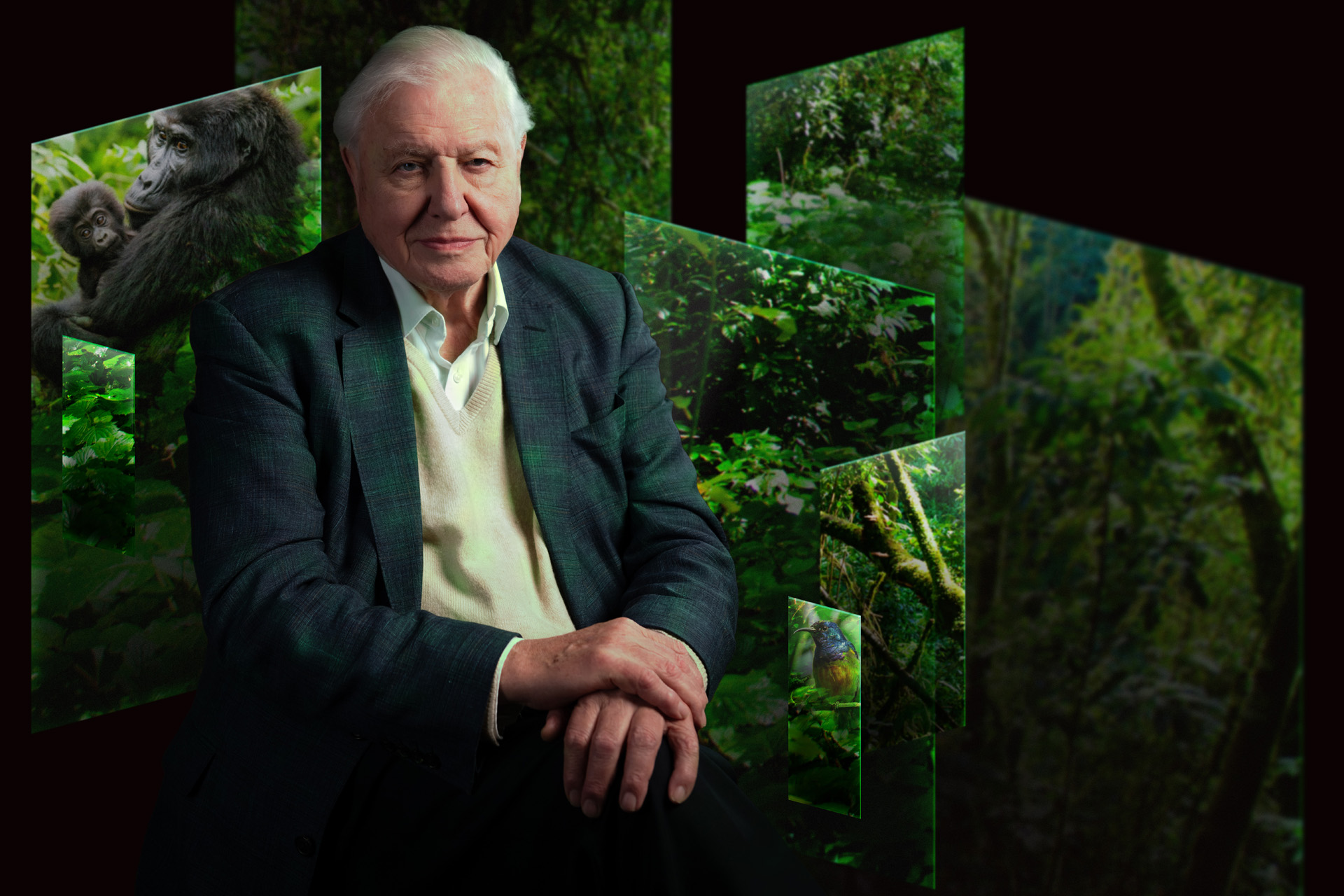 Our Story With David Attenborough: The Cathedral To Nature's Loudest Sermon To Date