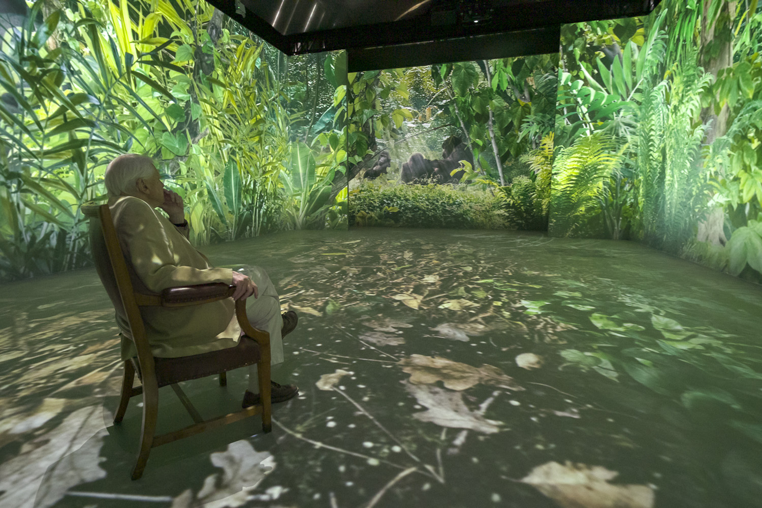 Sir David Attenborough experiences Our Story with David Attenborough