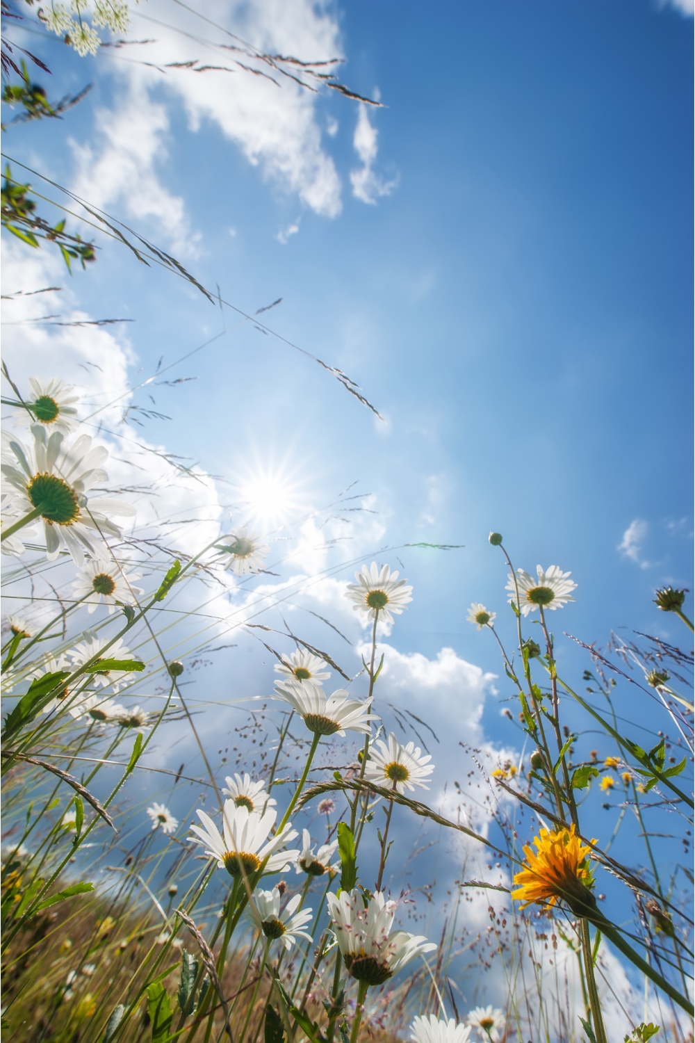 Here's What To Avoid During The Summer Solstice, According To Your Sign