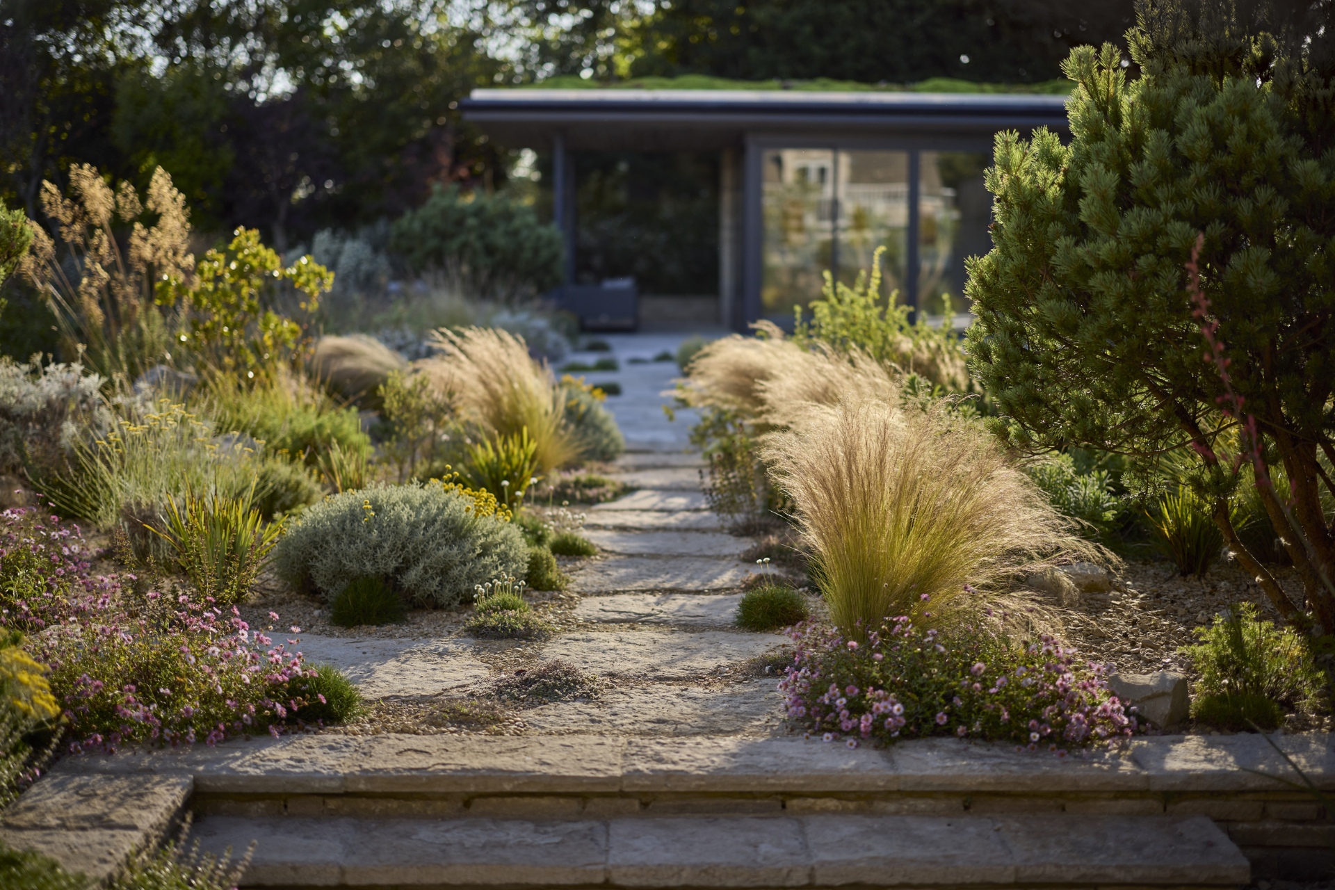 Garden designed by Tom Massey Studio
