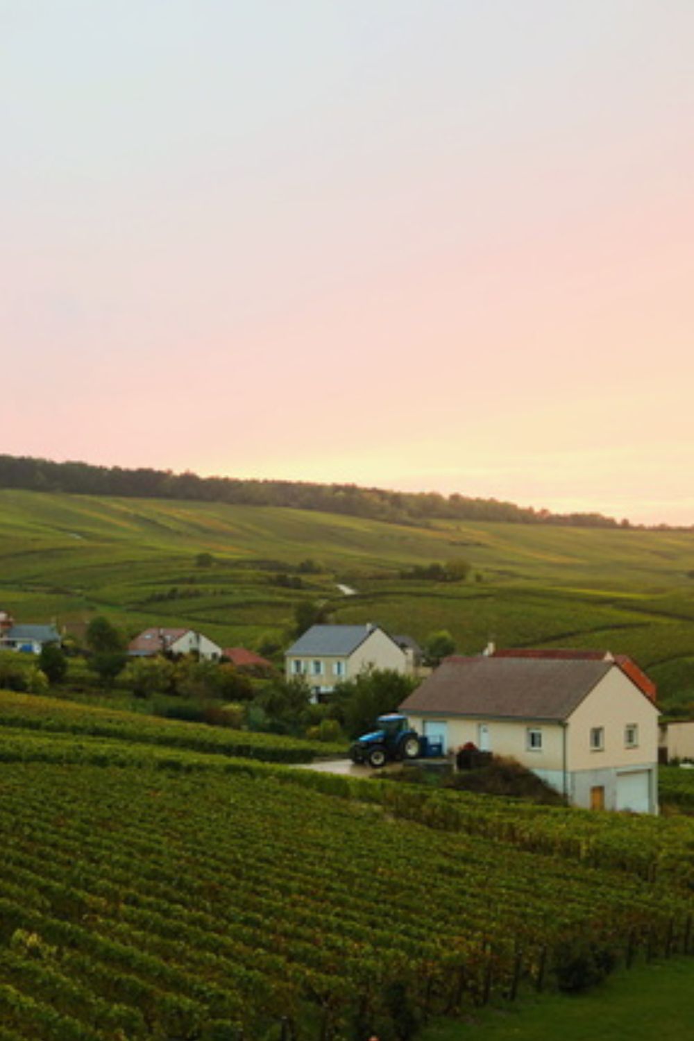 Champagne vineyards and hillside cottages at dusk
