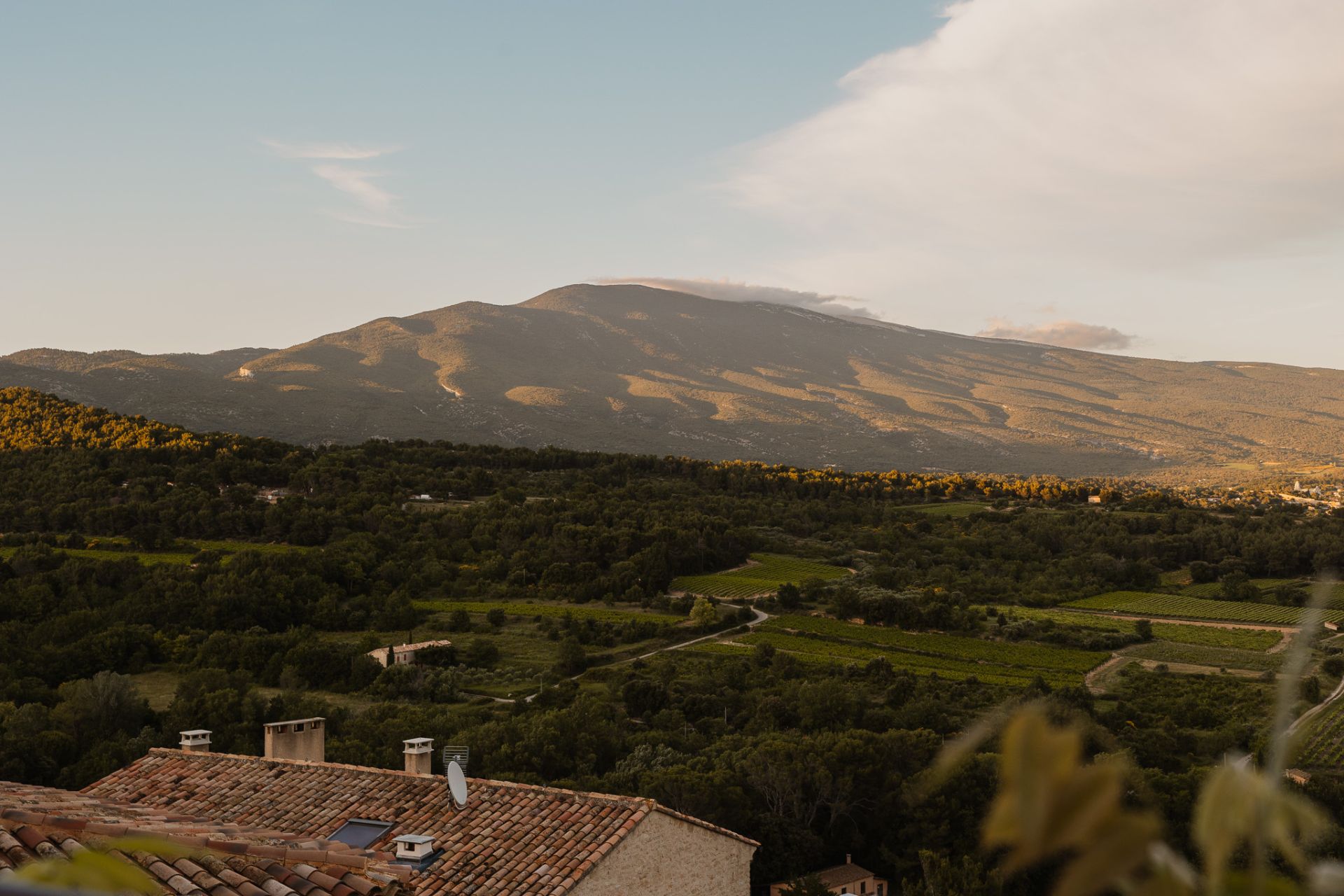 View of Mount Ventoux at dusk