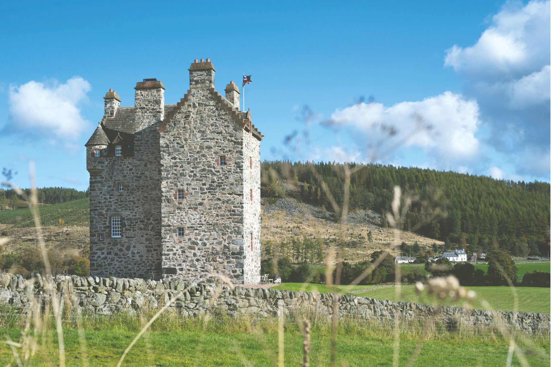 Stone turreted home