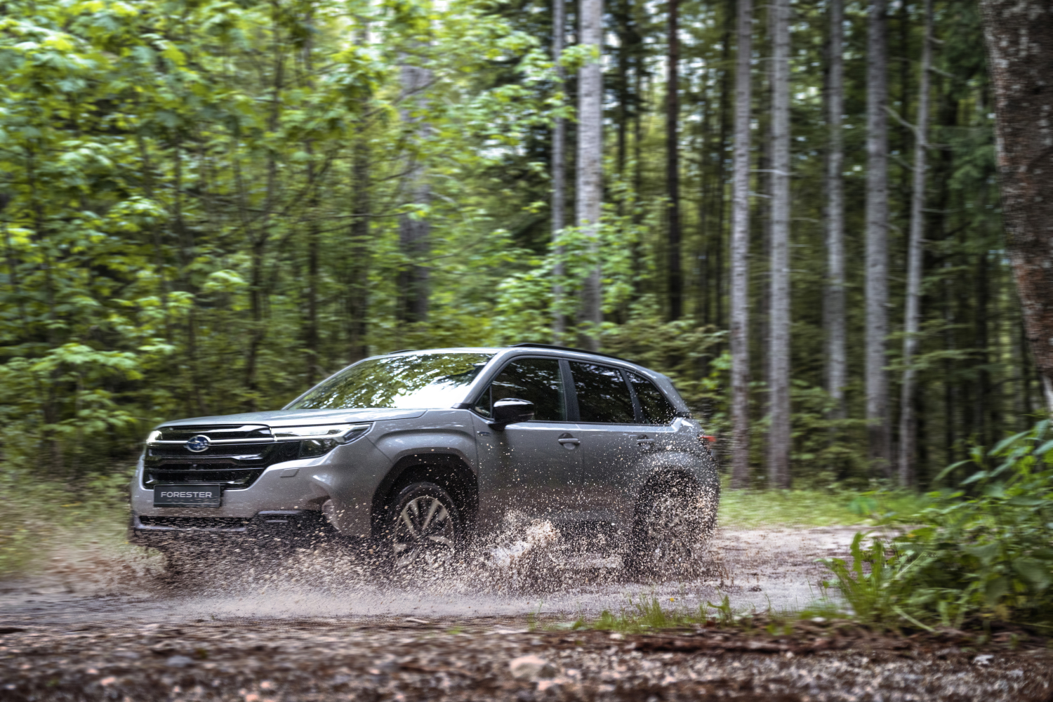 The All-New Subaru Forester Is True To Form: Comfy, Tough & Reliable