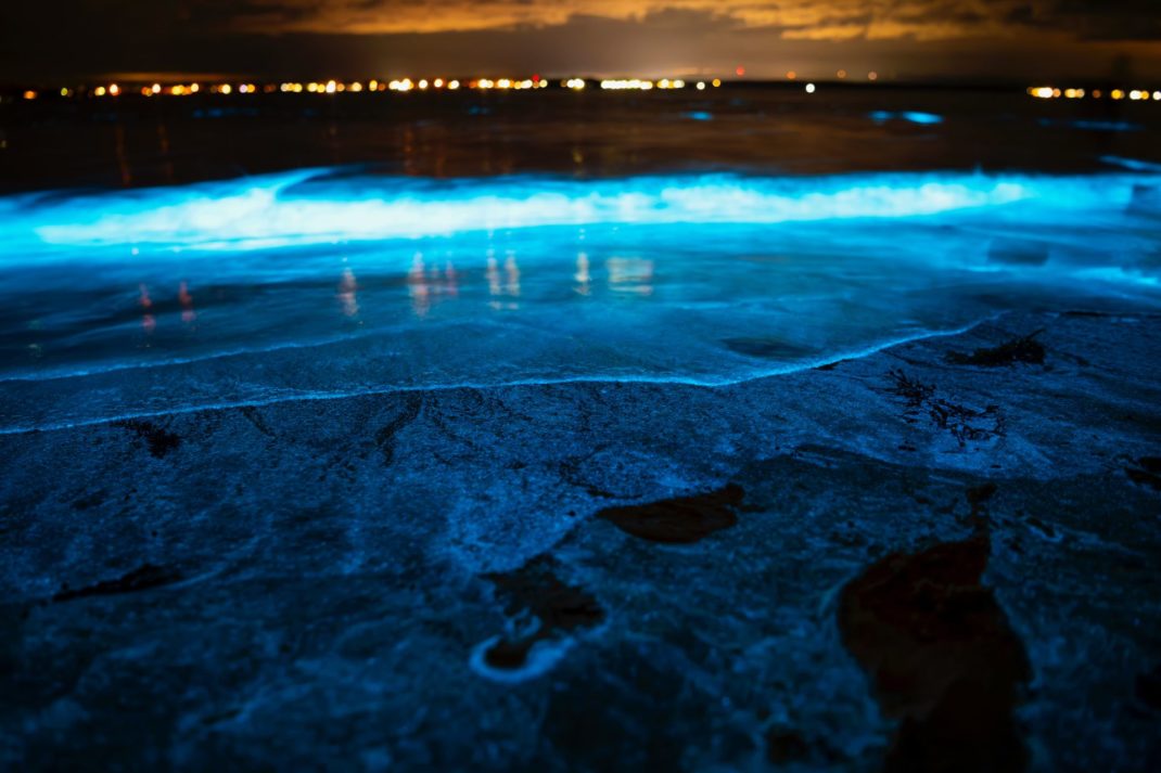 Night view of Vieques sea
