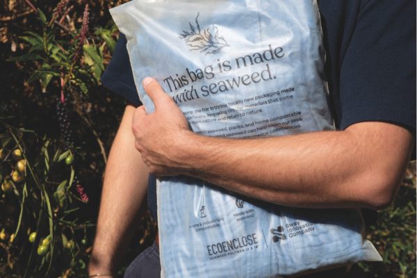 Bag made of seaweed