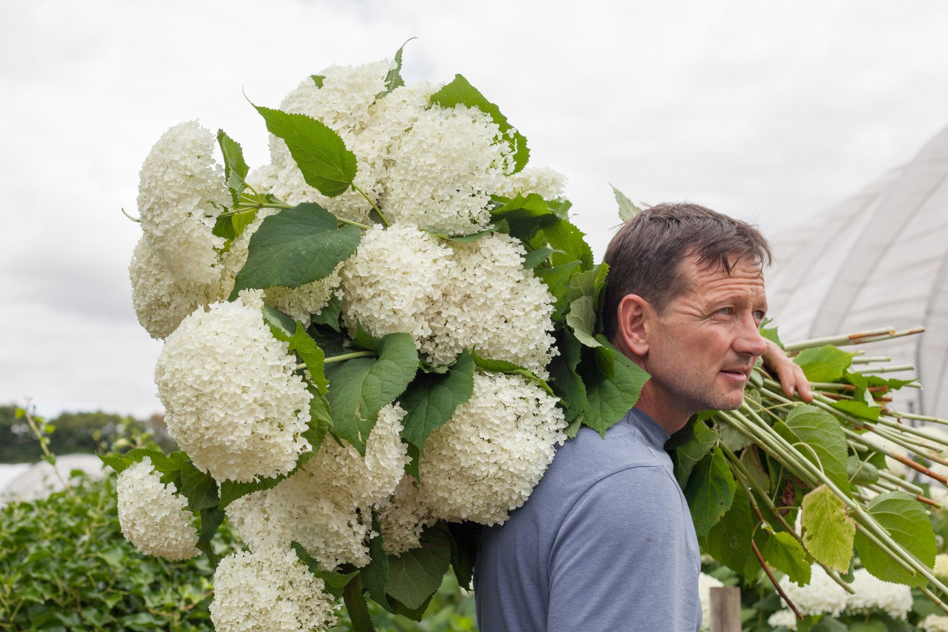 Man with flowers