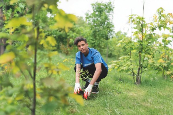 Planting trees