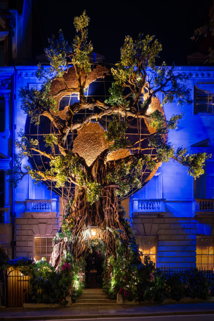 Annabel's Annual Forest Façade Has Landed