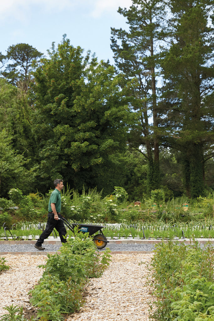 Green-fingered at Ashford Castle in Co. Mayo, Ireland