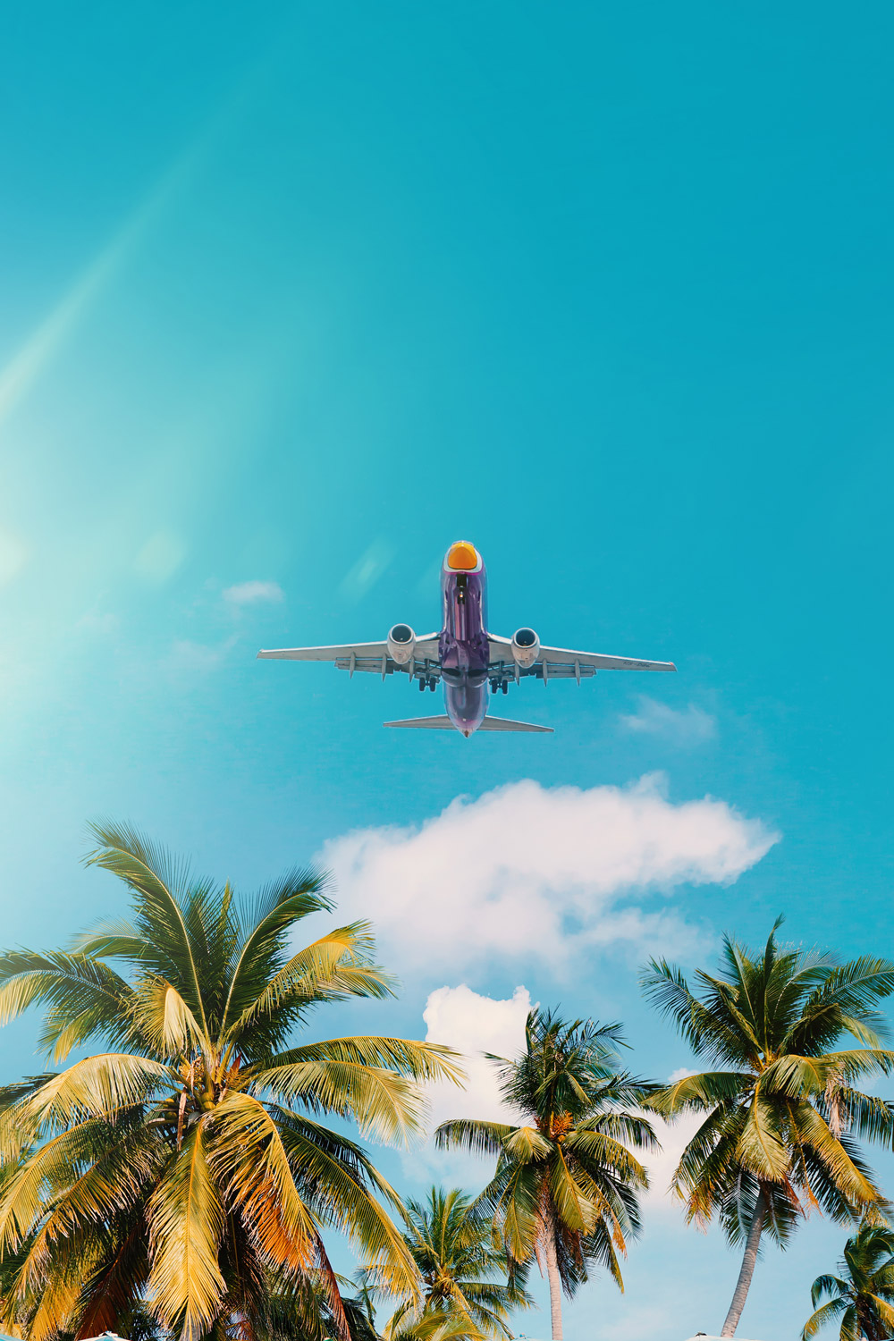 Plane with palm trees