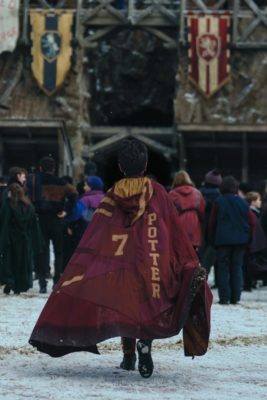 Dominic McLaughlin as Harry Potter