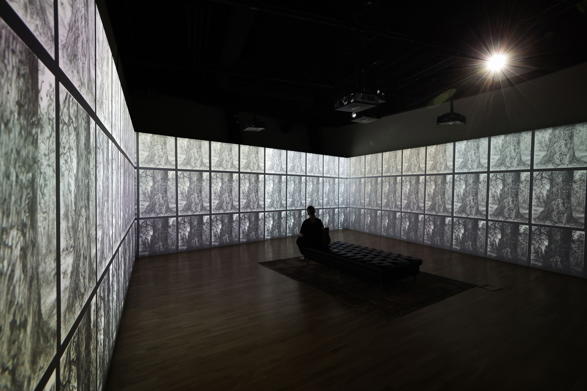 The Lucian Freud exhibition at Titanic Belfast
