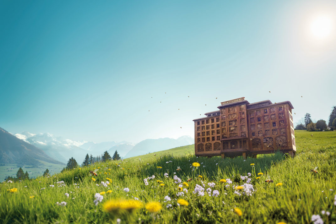 Honey Trap: Switzerland's Best Bee Friendly Hotels