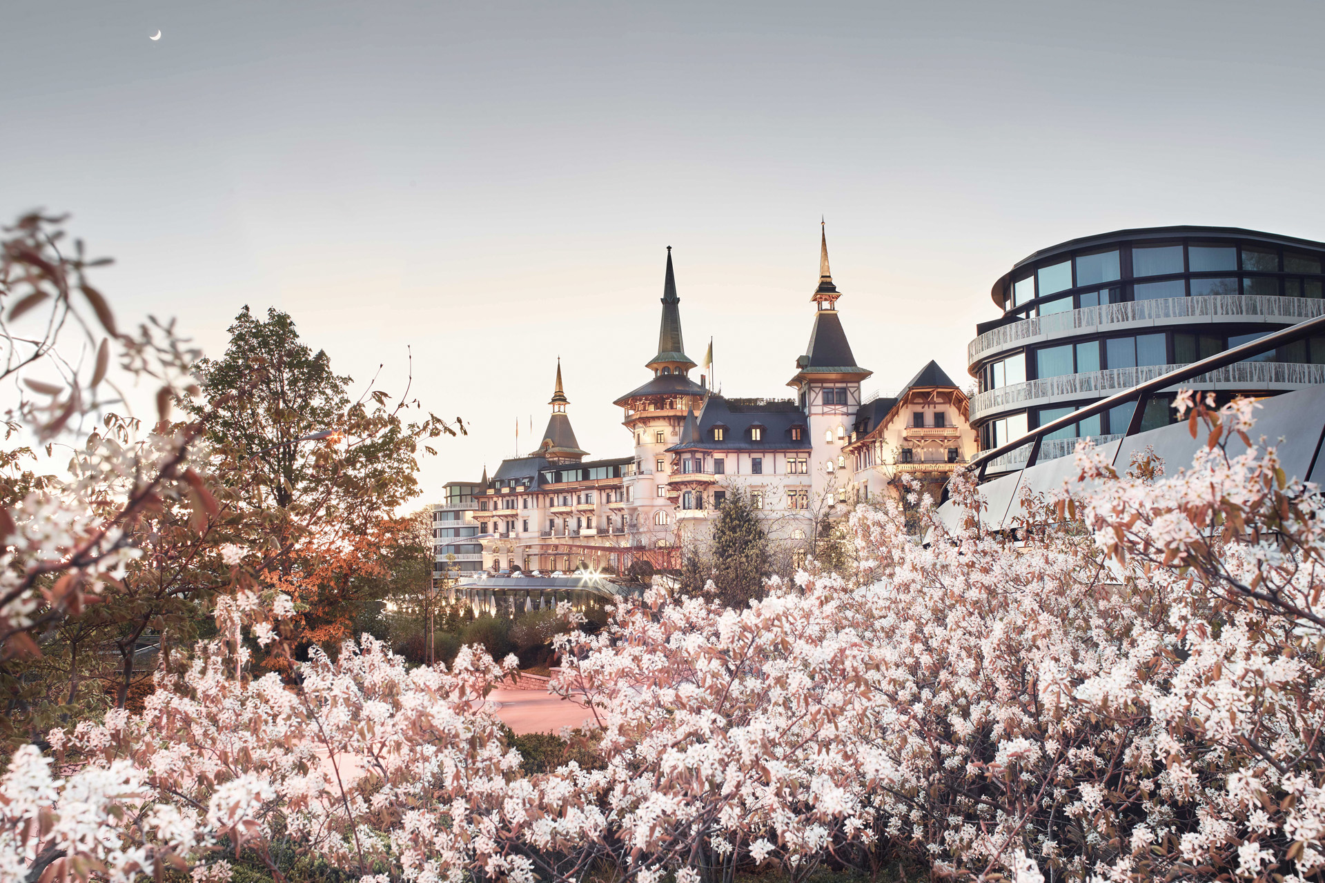 Flowers in front of a hotel in Switzerland