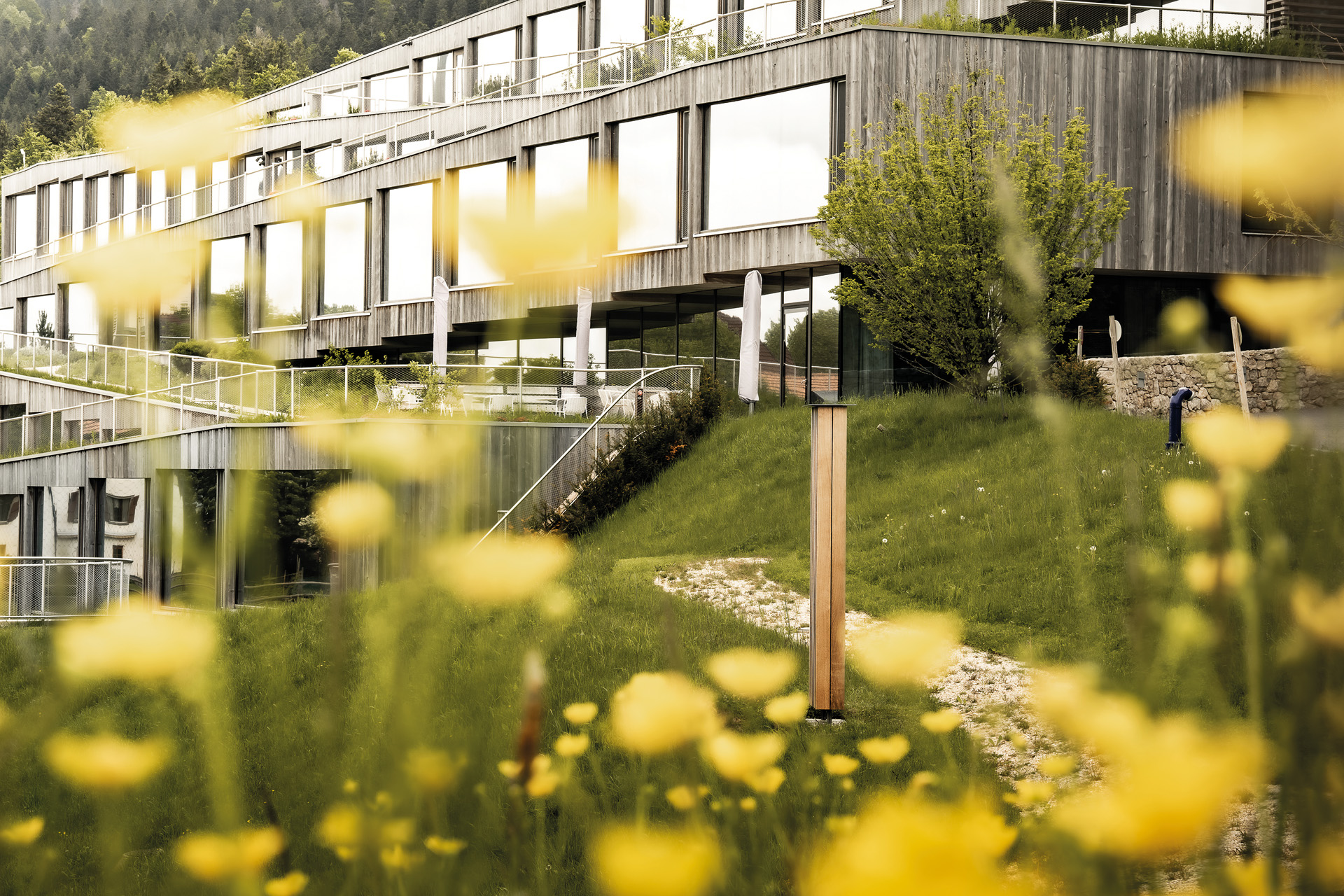 Flowers in front of a hotel in Switzerland