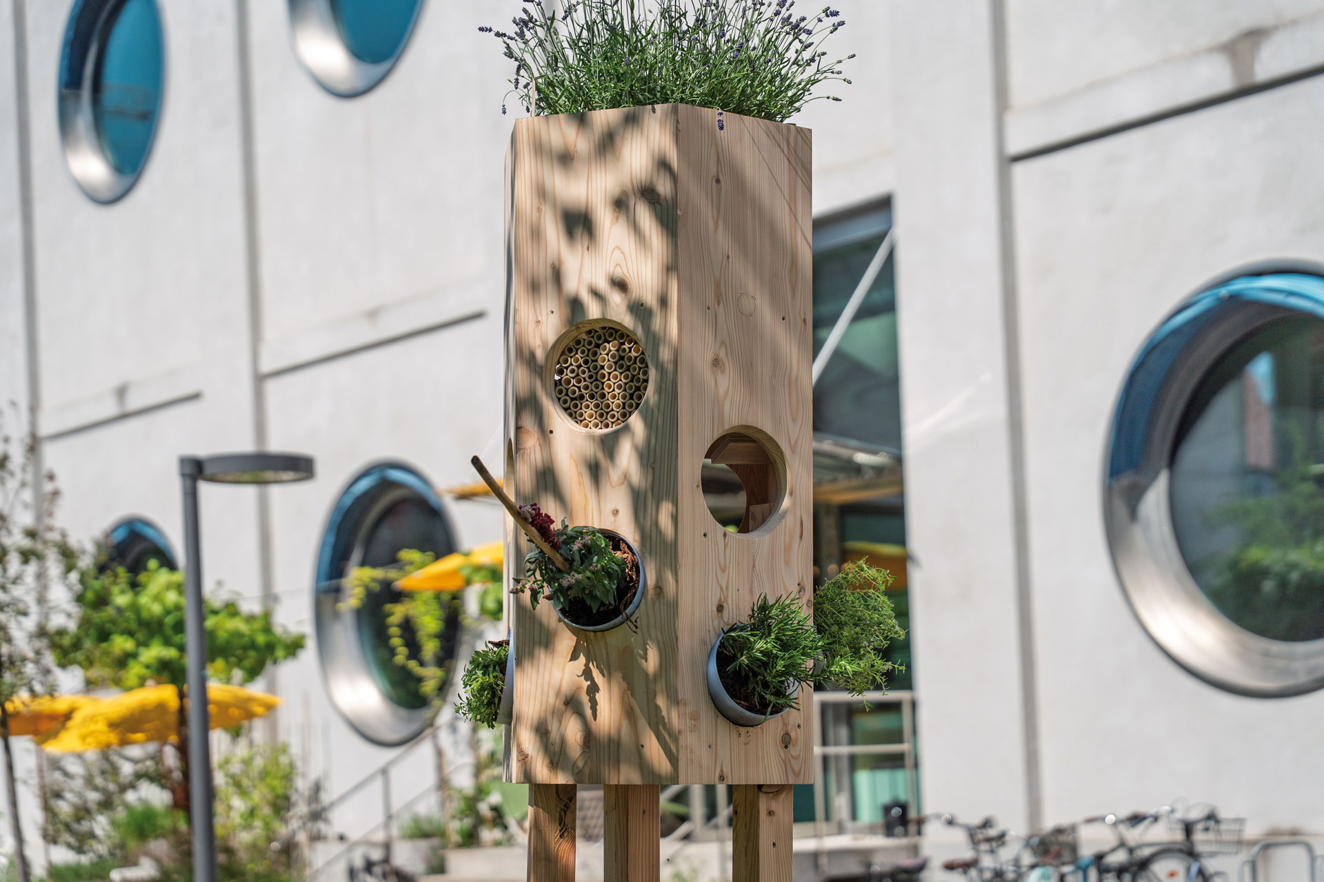 A wild bee lodge 