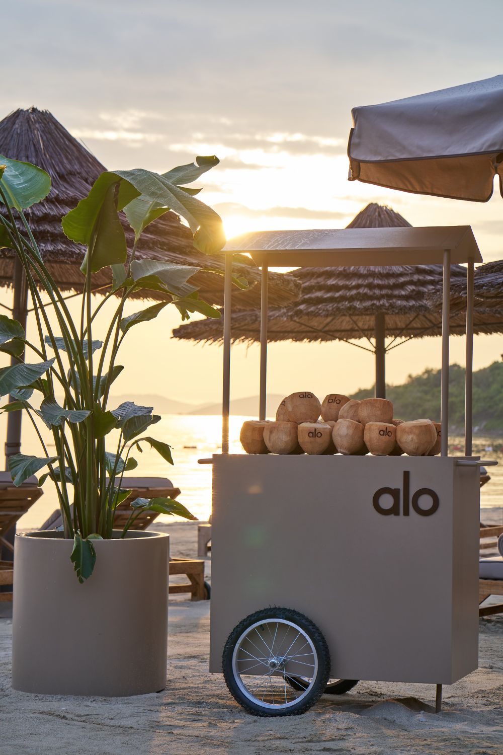 alo beach club collab with Mandarin Oriental in Bodrum, Turkey