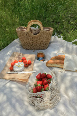Picnic with strawberries and cheese