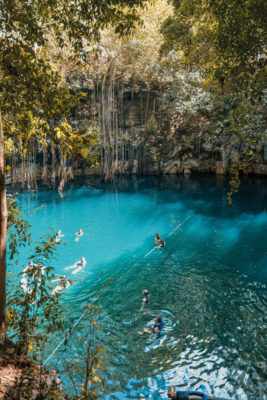 Swimming in blue waters