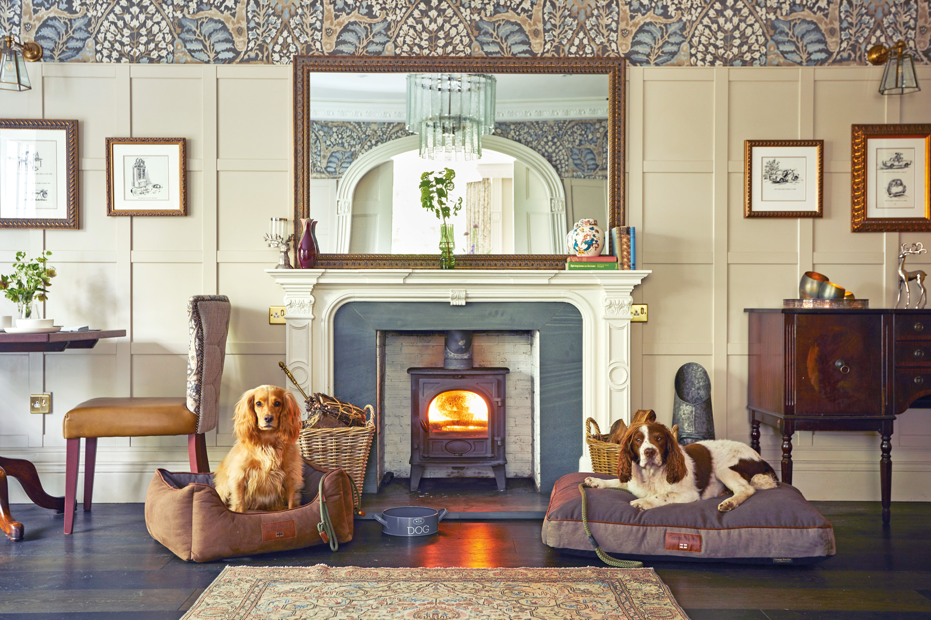 Two dogs beside a fireplace at a hotel in Cumbria