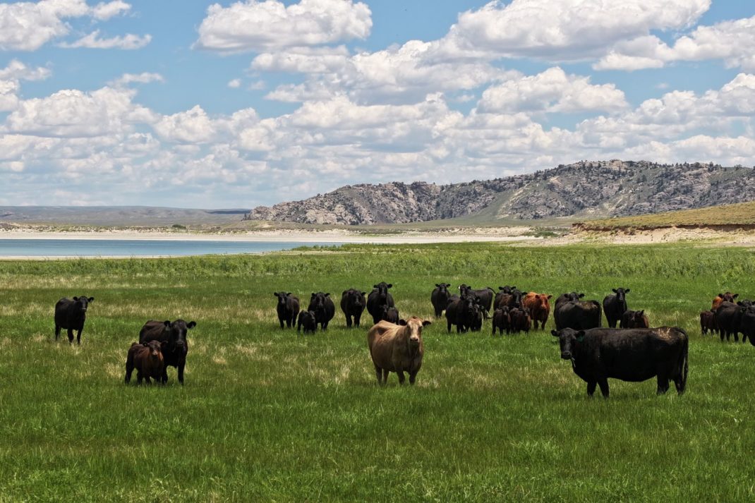 Is This A Real-Life Yellowstone Ranch?