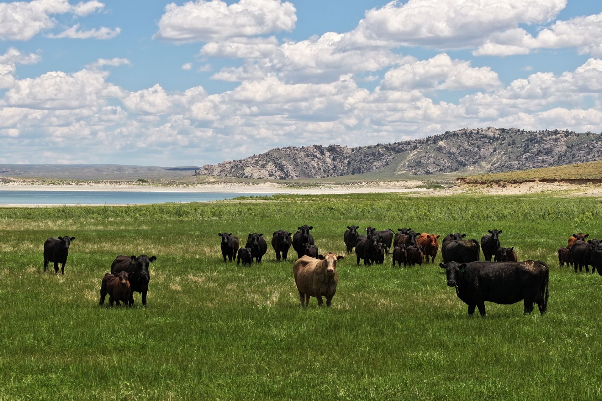 Is This A Real-Life Yellowstone Ranch?