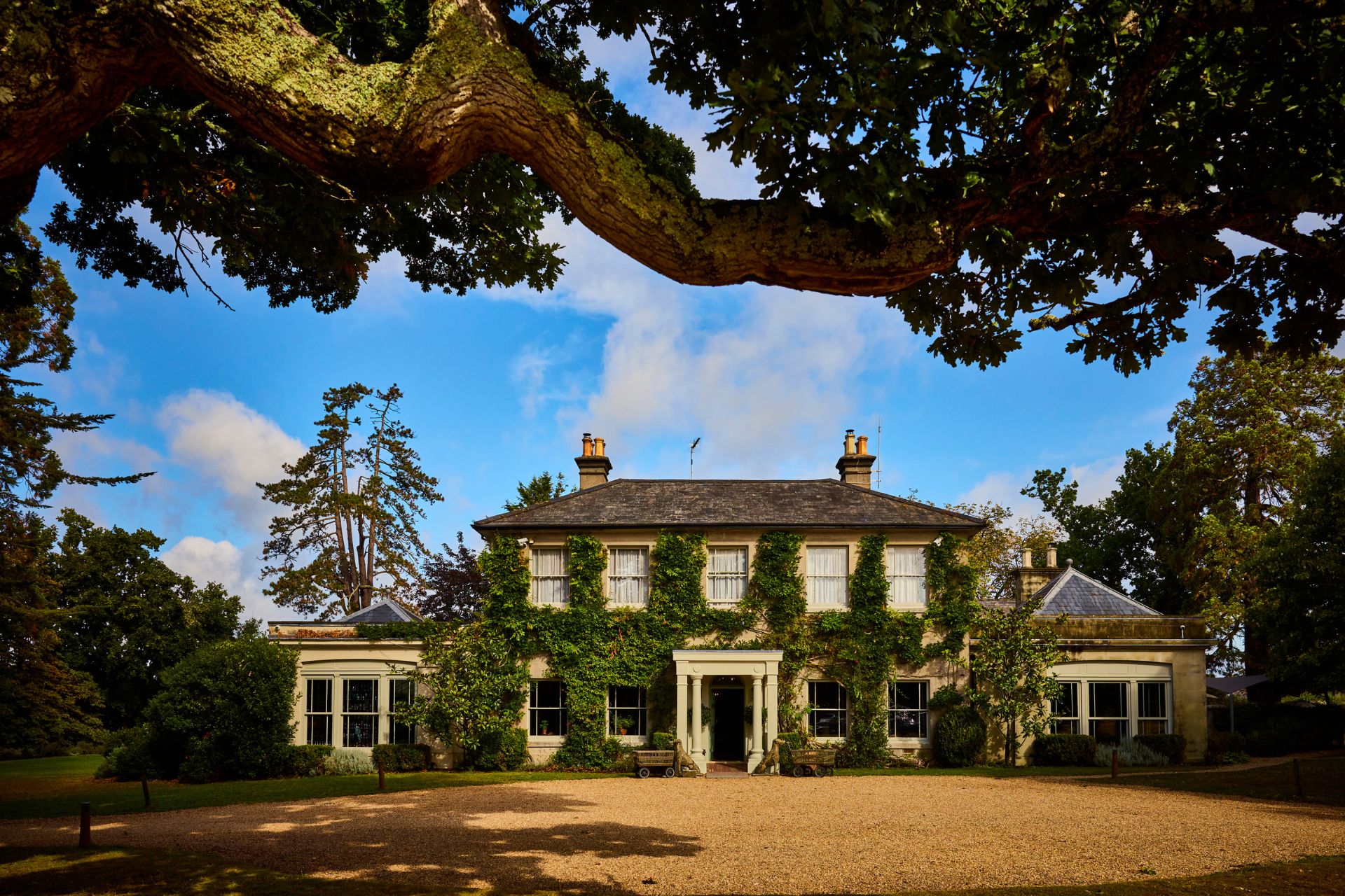 The Pig, Brockenhurst, New Forest