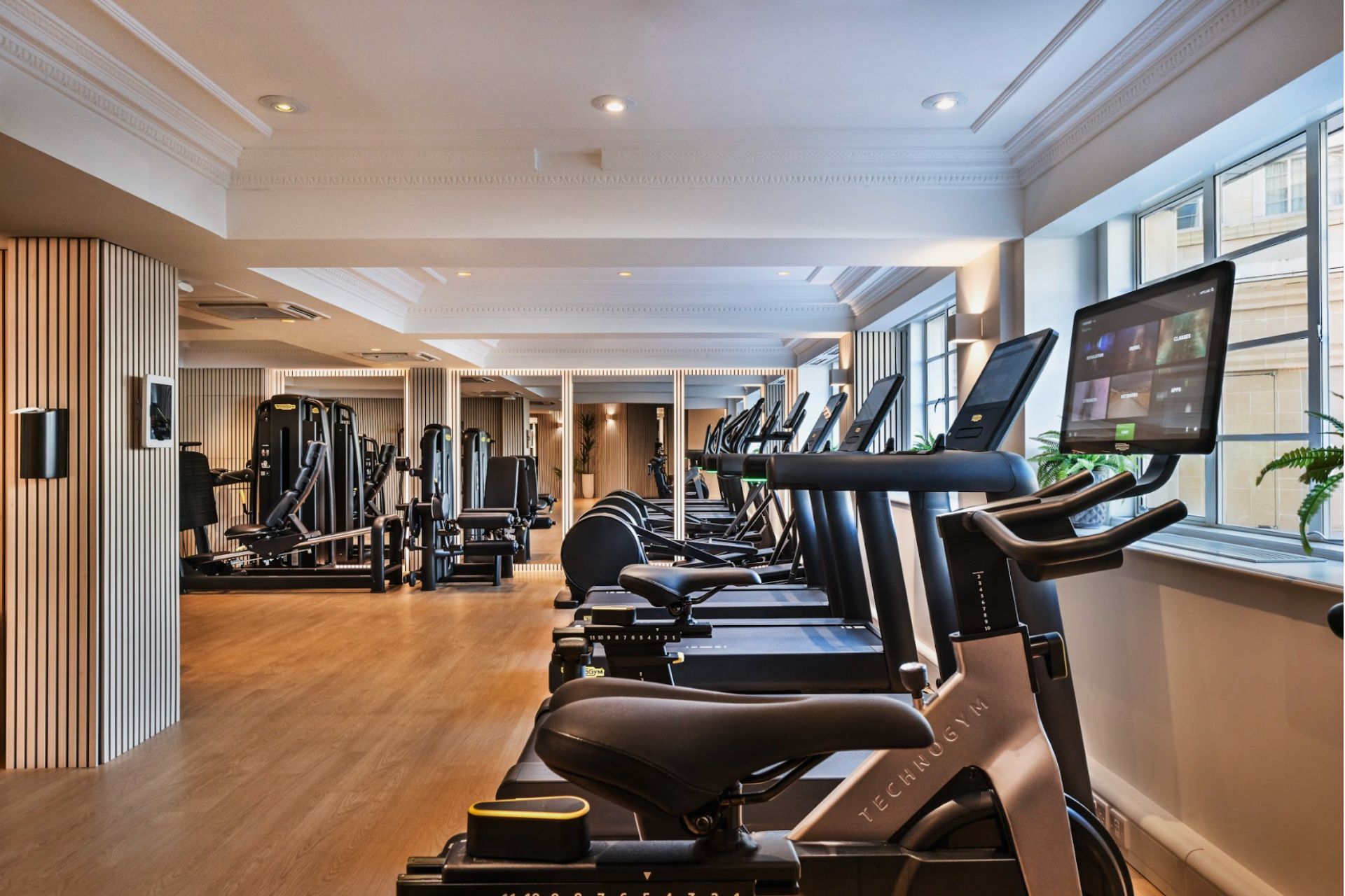 Gym