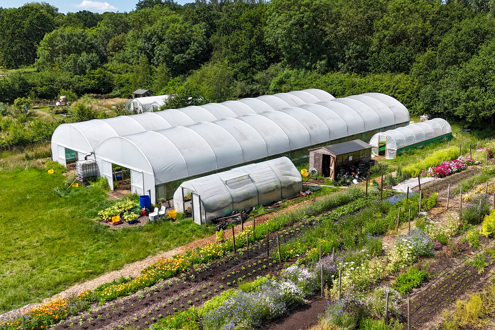 Aerial shot of Sitopia farm, London