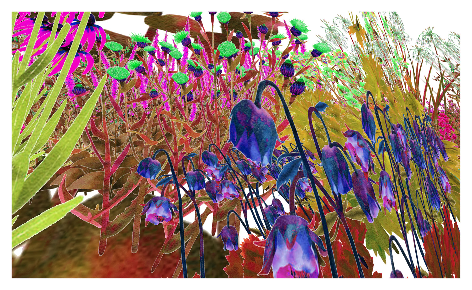 Art inspired by pollinators