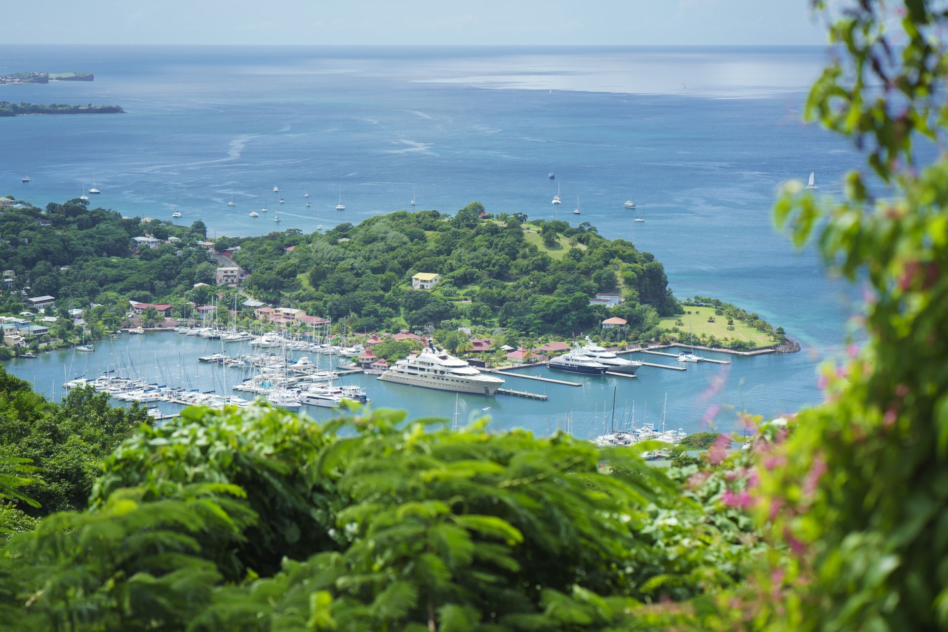 Overhead shot of lush green Port Louis Grenada
