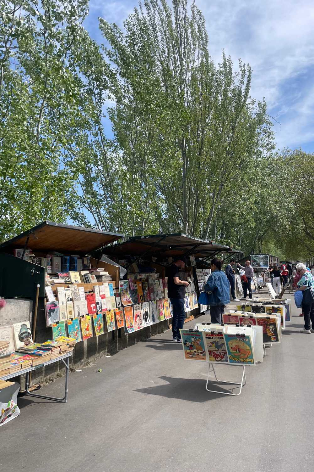 Bouquinistes beside the Seine in Paris