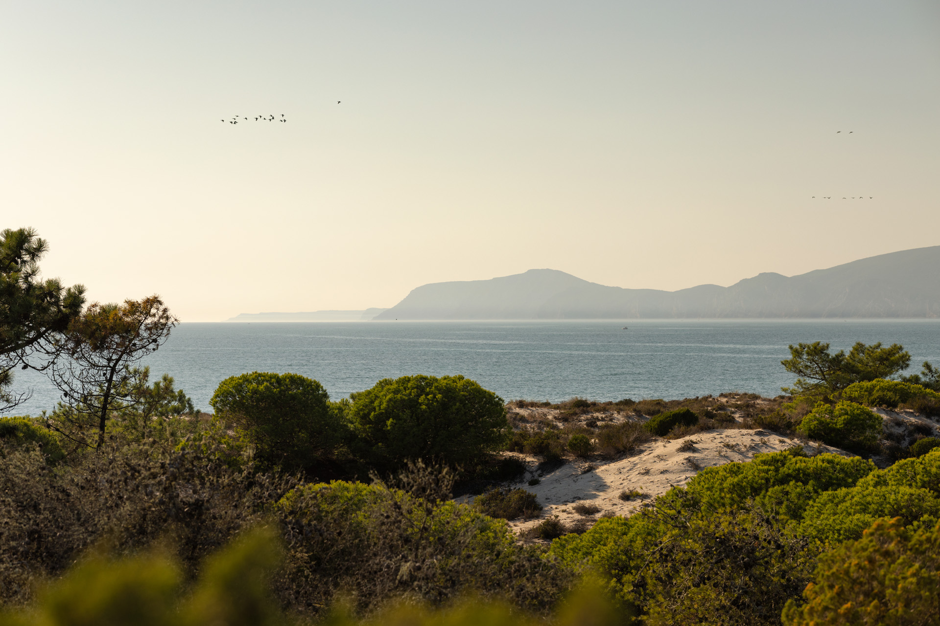 The landscape Na Praia will blend into
