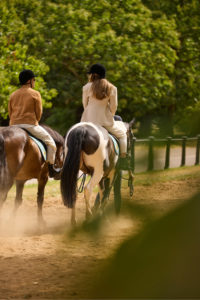 Two people horse riding in Hyde Park